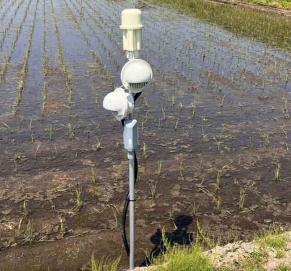 水位水温センサーと温度湿度センサー